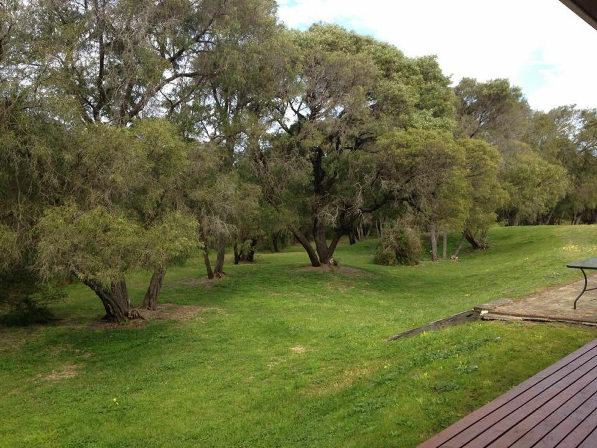 鸸鹋海滩小屋 奥尔巴尼 外观 照片